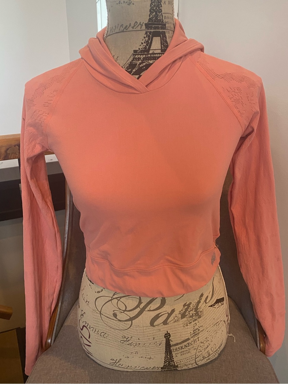 Free People Coral Cropped Hooded Long-Sleeve Top